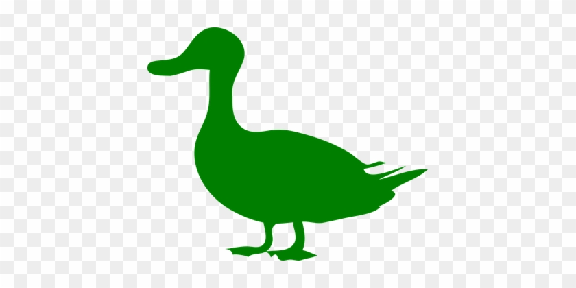 Duck, Bird, Water, Poultry, Waterfowl - Duck Silhouette #285381