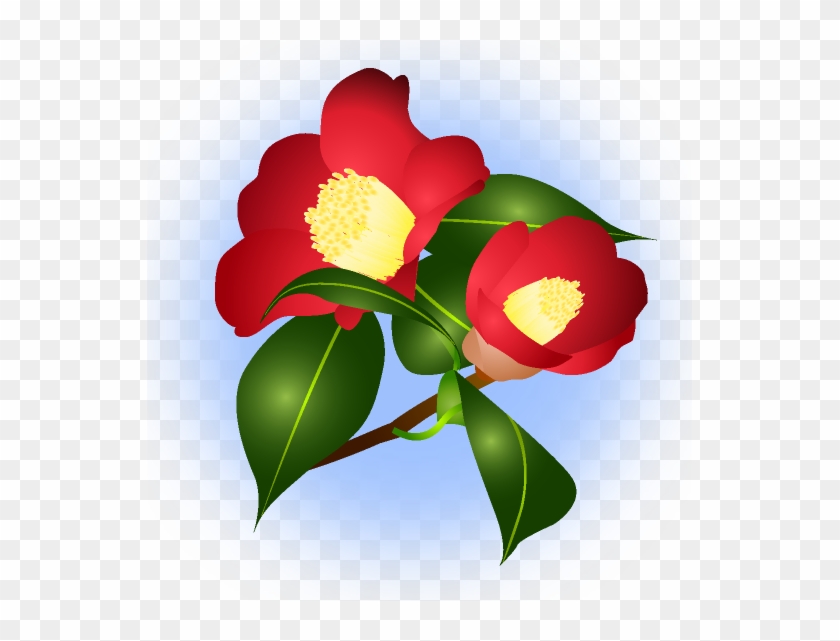 イメージ - Japanese Camellia #285385