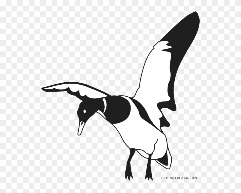 Landing Duck Animal Free Black White Clipart Images - Black And White Duck Art #285390