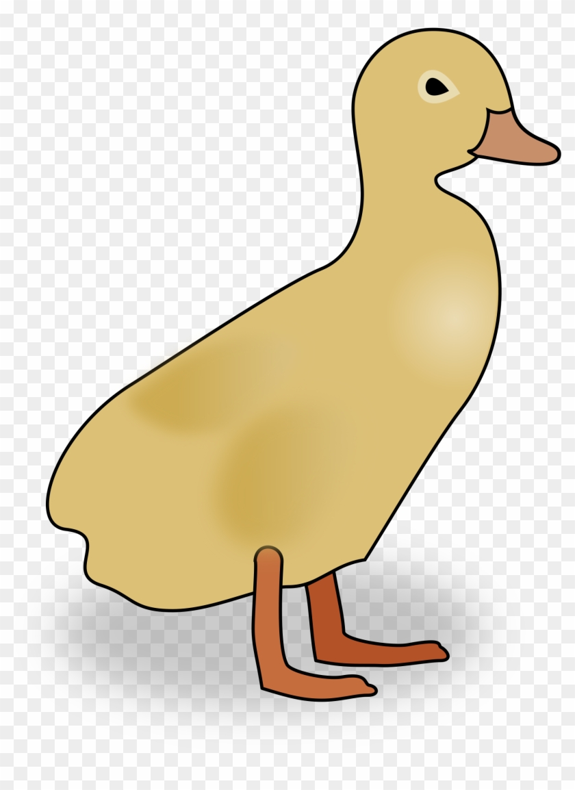 Baby Duckling Pictures - Bird Mama Baby Clipart Png #285422
