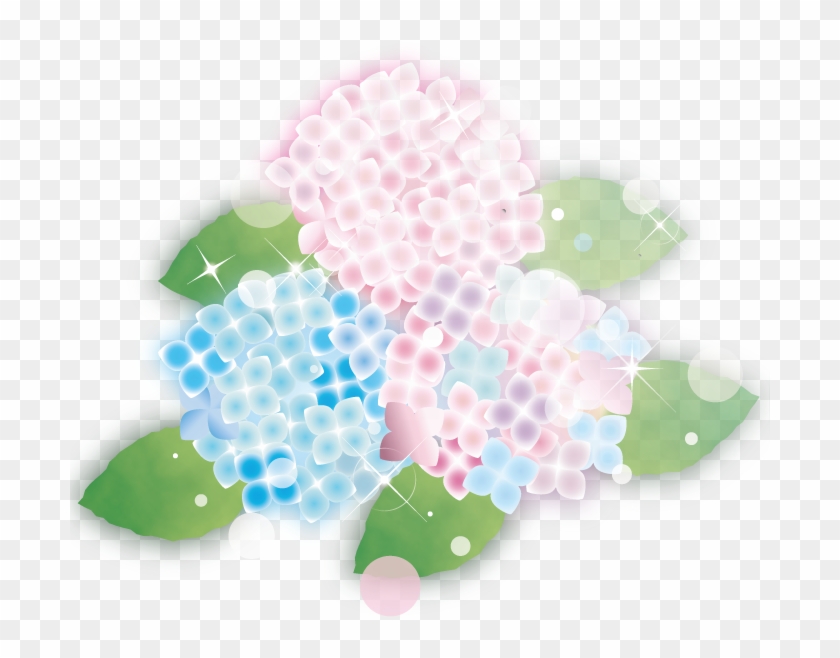 紫陽花 無料 イラスト Free Transparent Png Clipart Images Download