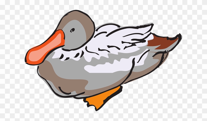 Duck Clipart Brown - Duck #285432