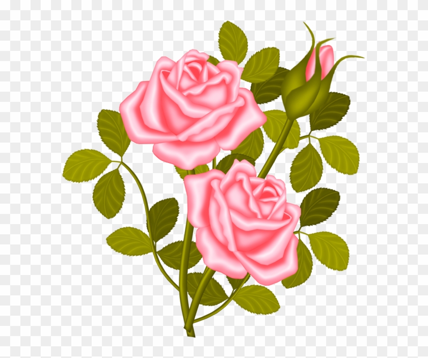 Rose Shrub Plant Clip Art - Teth #285478