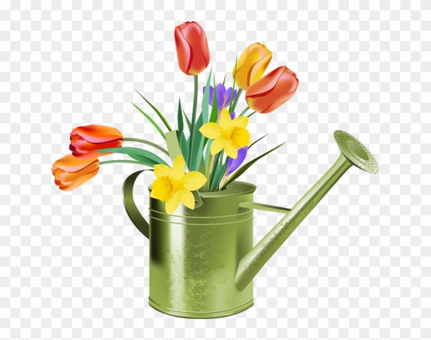 Flag With Flowers Watering Can Clipart - Daffodils And Tulips Clipart #285558