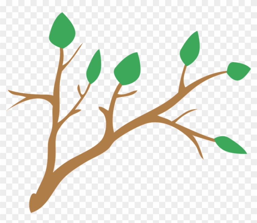 Tree Branch Clipart 7, - Rama De Arbol Png #285579