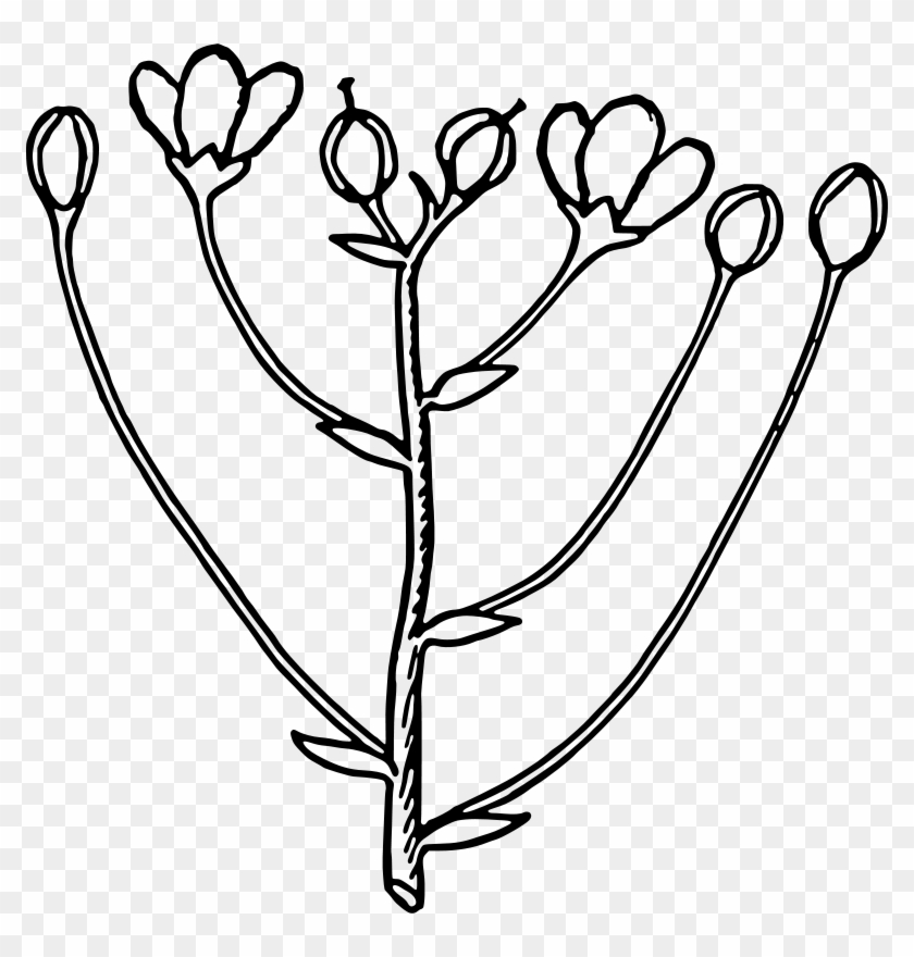 Bud Flower Clip Art - Bud Flower Clip Art #285597