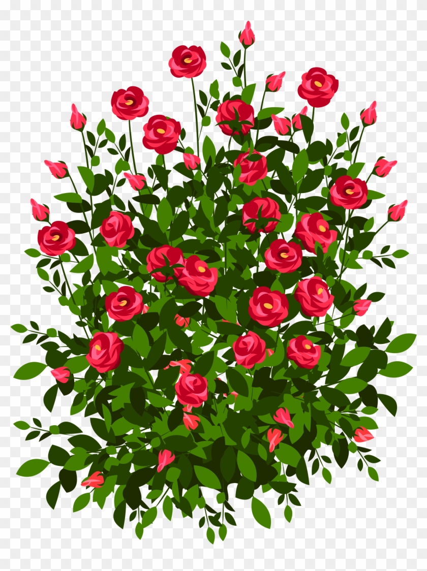 Roses Plant Clipart - Rose Bush Drawing #285593