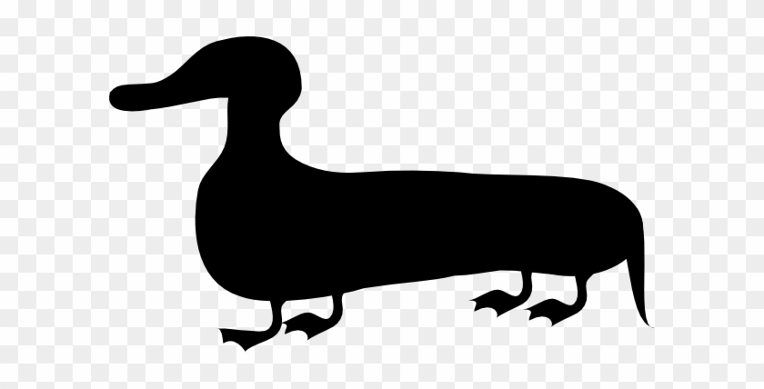 Weiner Duck #285638