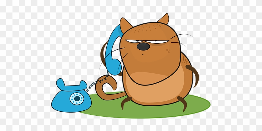 Cat Angry Telephone Talk Answer Cat Cat An - Talk On Phone Clip Art #285651