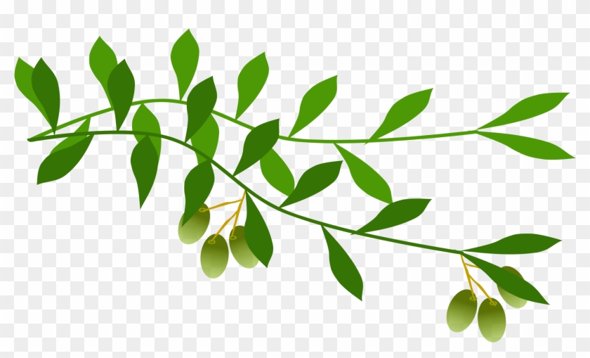 Clip Art Olive Branch Ideas Medium Size - Clip Art Olive Branch #285672