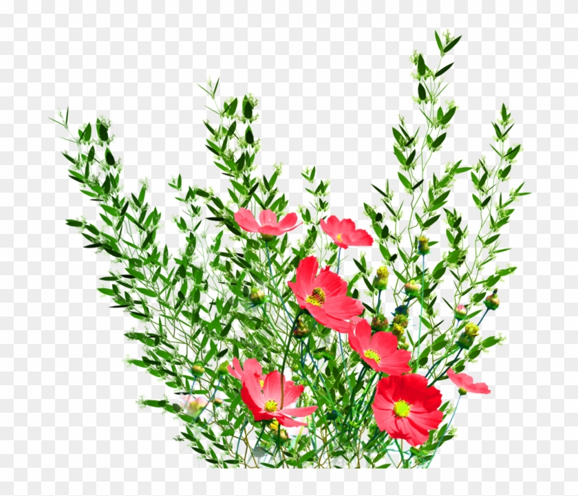 Flower Bed Clipart, Explore Pictures - Flower Gardens Transparent #285685