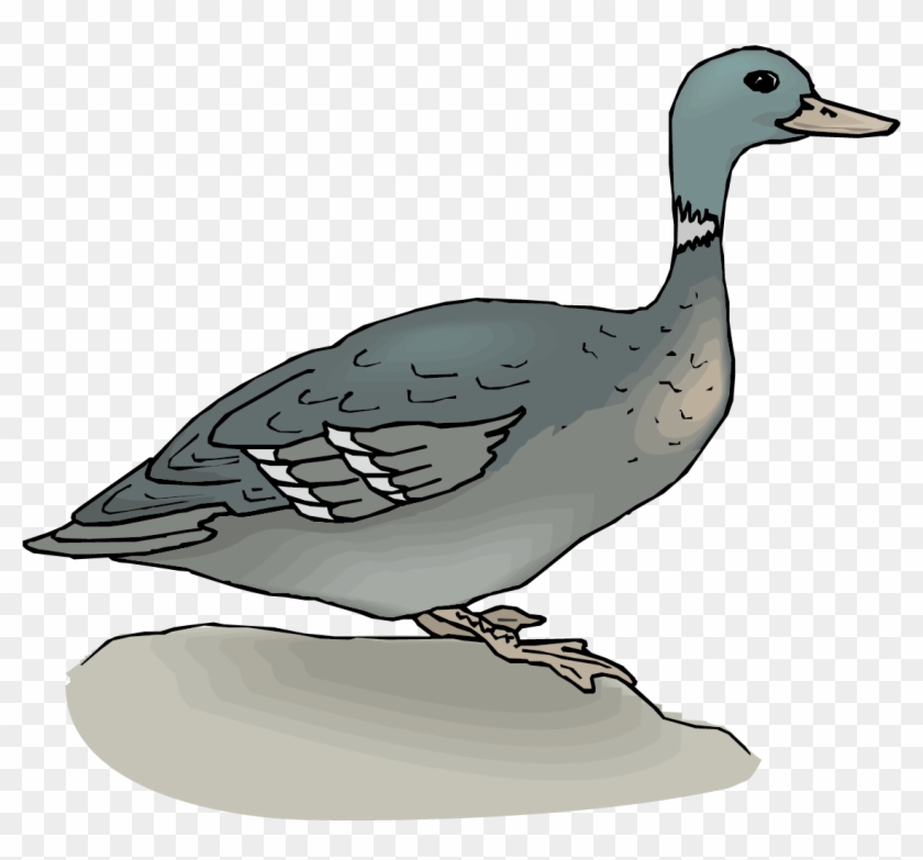 Mallard Duck Goose Clip Art - Mallard Duck Goose Clip Art #285706