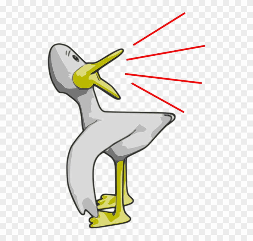 Quack Clip Art - Quack Clipart #285689