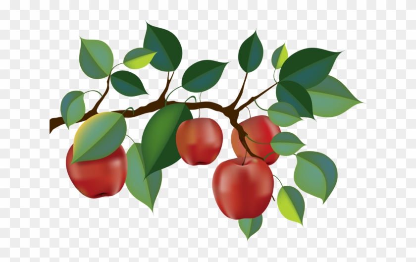 Top 88 Apple Tree Clip Art - Apple Tree Branch Clipart #285699