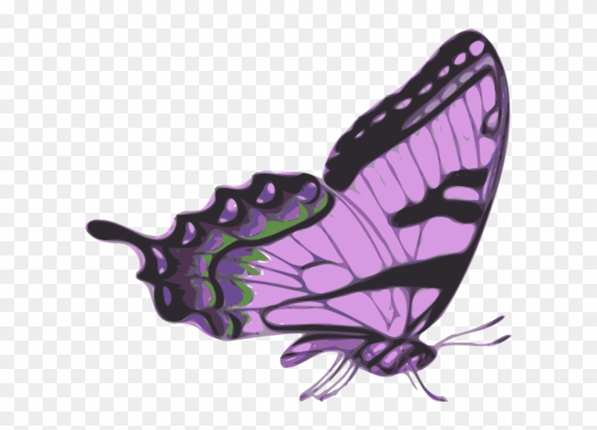 Pin Side Butterfly Clipart - Purple Butterfly Side View #285724