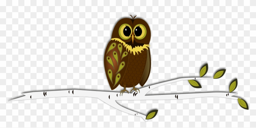 Owl On Tree Branch Clip Art - Owl On A Branch Drawings #285734