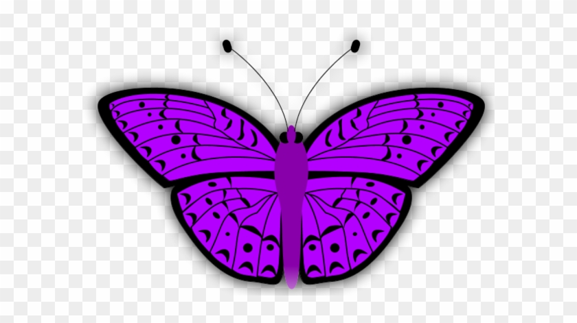 Butterfly - Purple Butterfly Clip Art #285767