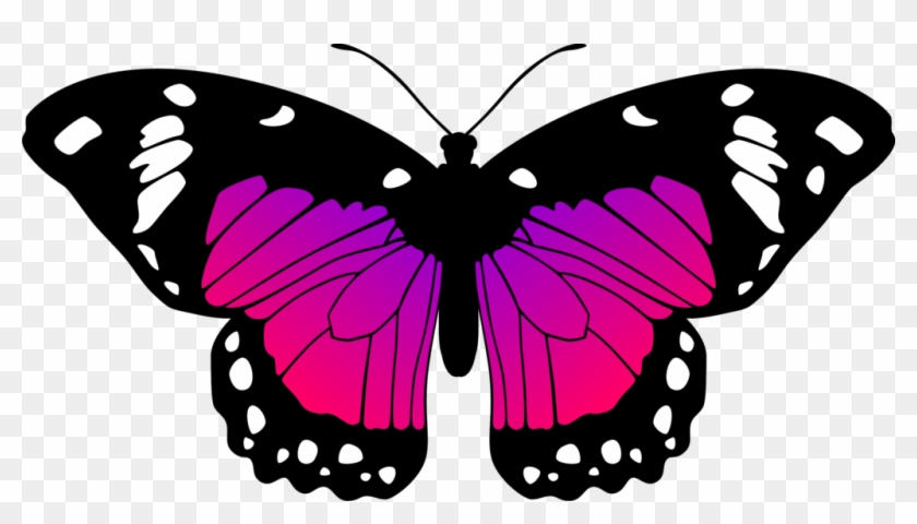 Butterfly By Eiluvision - Pink And Purple Butterfly #285768