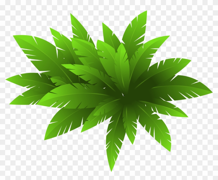 Green Plant Clipart - Plants Clipart #285773