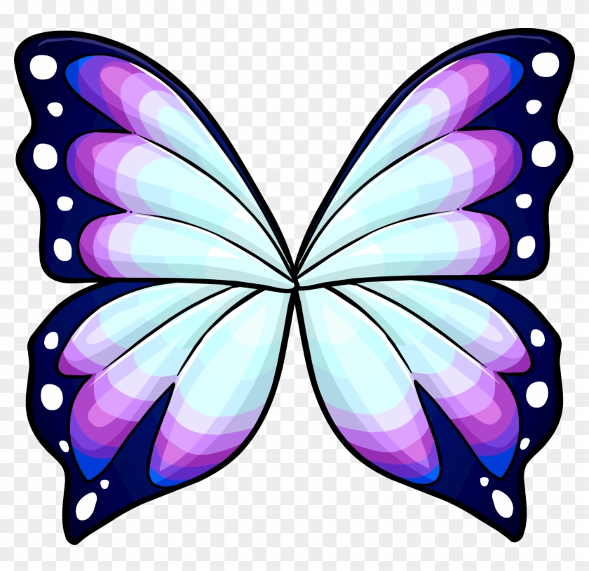 Butterfly Wings - Butterfly Wing Drawing Color #285776