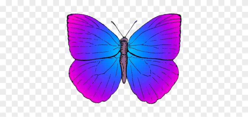 Purple Butterfly Cliparts 21, Buy Clip Art - Cartoon Butterflies #285779