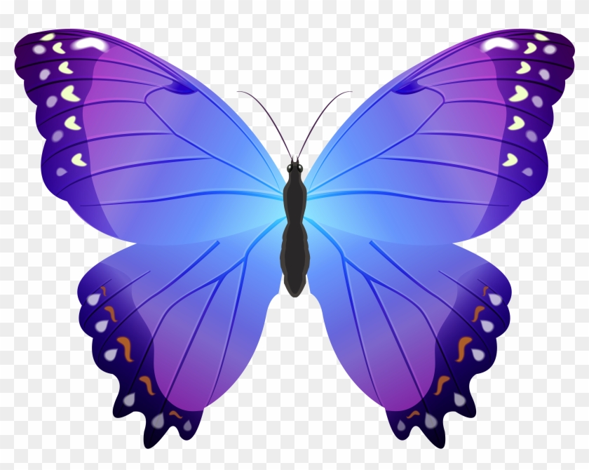 Butterfly Violet Clip Art - Blue And Purple Butterfly Clip Art #285832