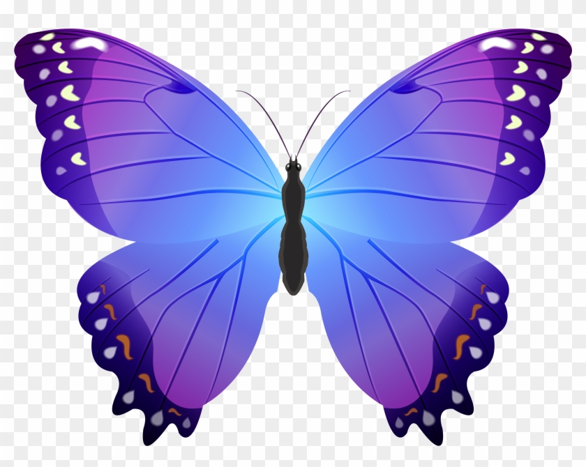 Butterfly Violet Clip Art - Blue And Purple Butterfly Clip Art #285832