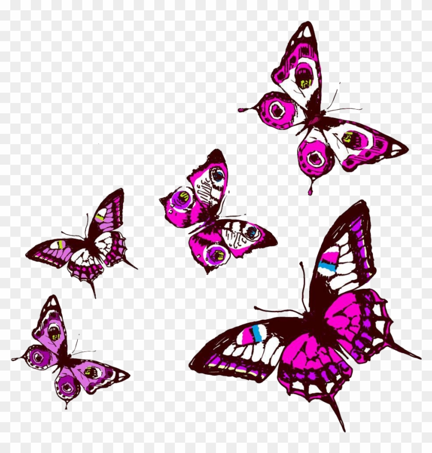 Butterfly Adobe Illustrator Clip Art - Butterfly #285844