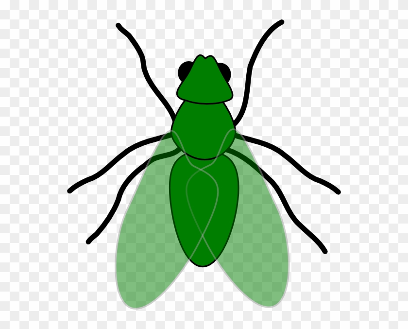 Green Fly Green For Web Clip Art At Clker Com Vector - Fly Clip Art #285994