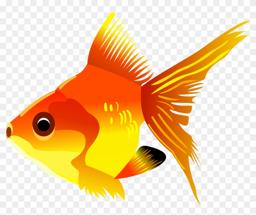 Cartoon Goldfish - Gold Fish Cartoon Png #286081