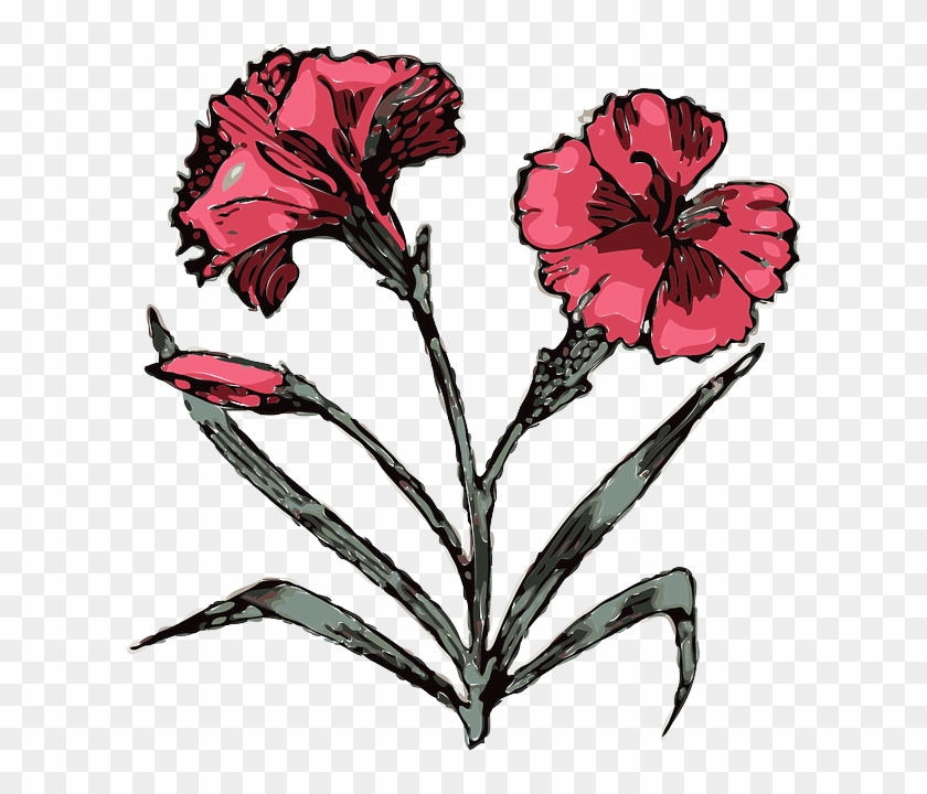 Drawing, Flower, Flowers, Cartoon, Pink, Plant - Angiosperms Clipart #286117