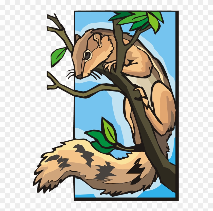 Squirrel On Tree Clipart - Squirrel On Tree Clipart #286281