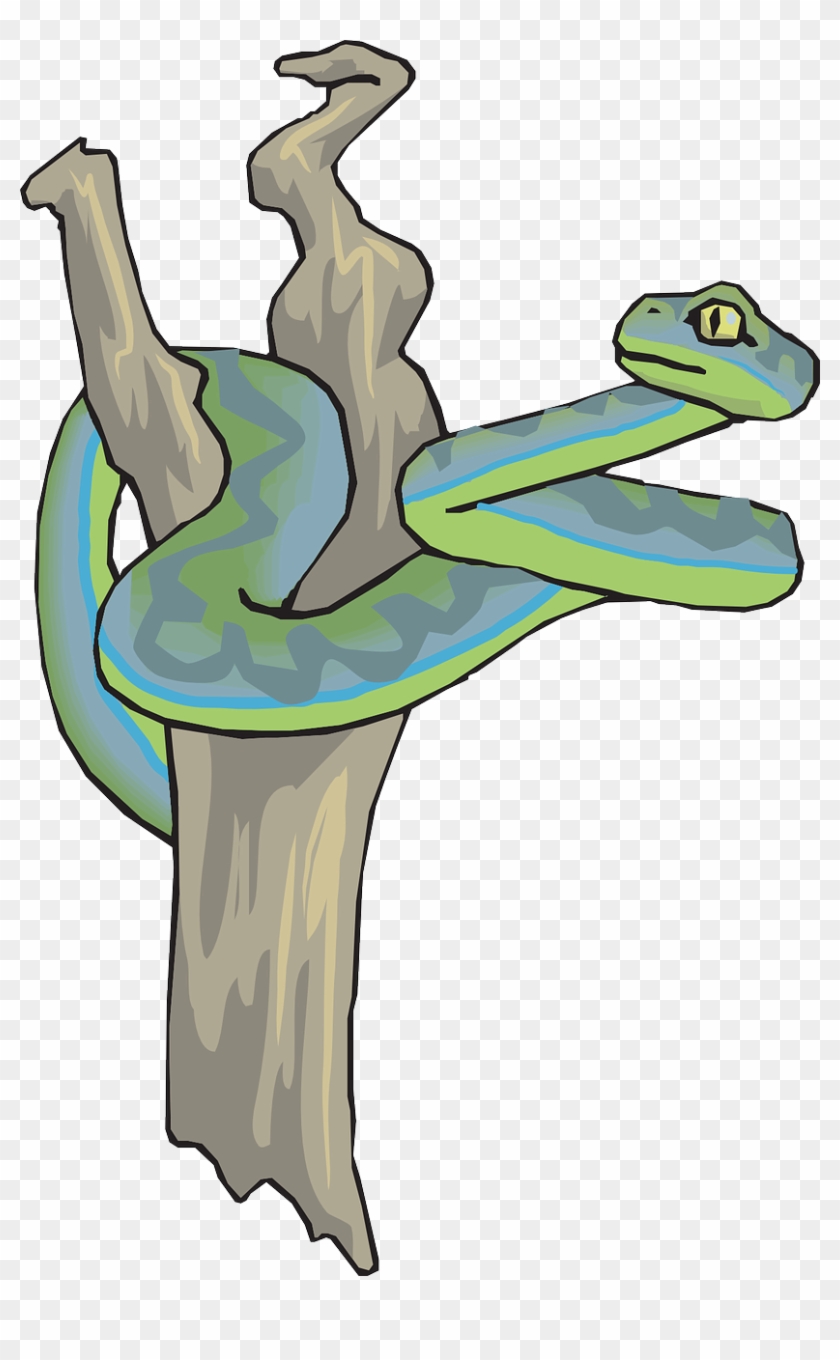 Snake Curled In A Tree Clip Art - Snake In A Tree #286291