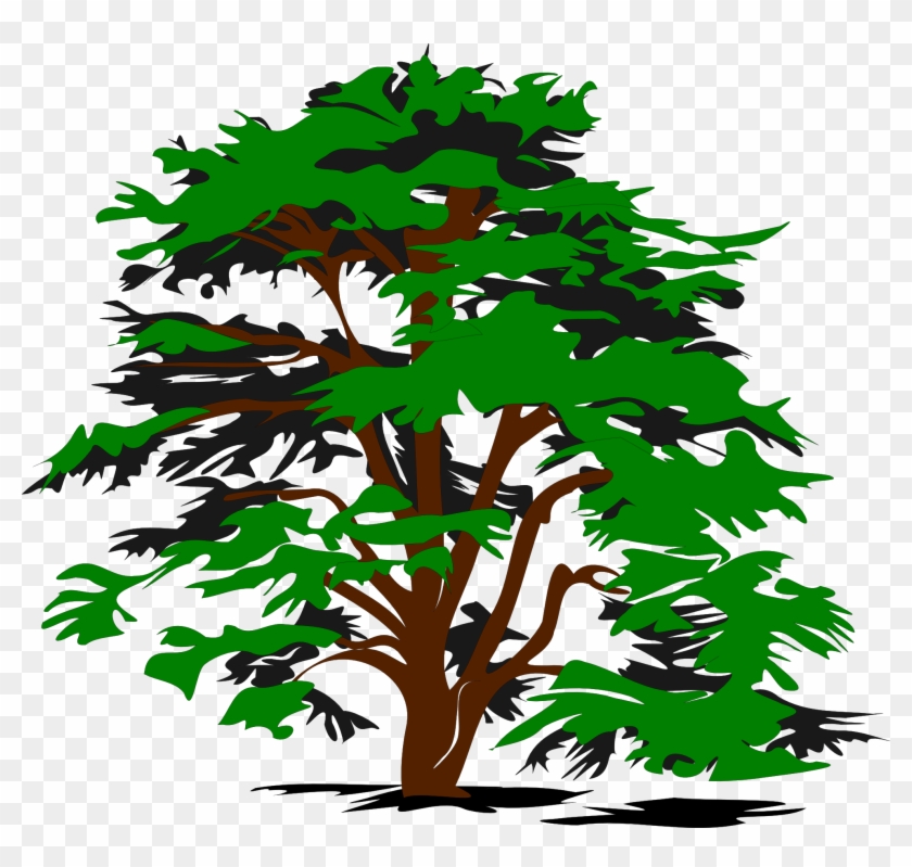 Cedar Tree Clip Art #286329