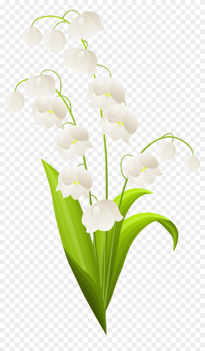 Lily Of The Valley Drawing #286417