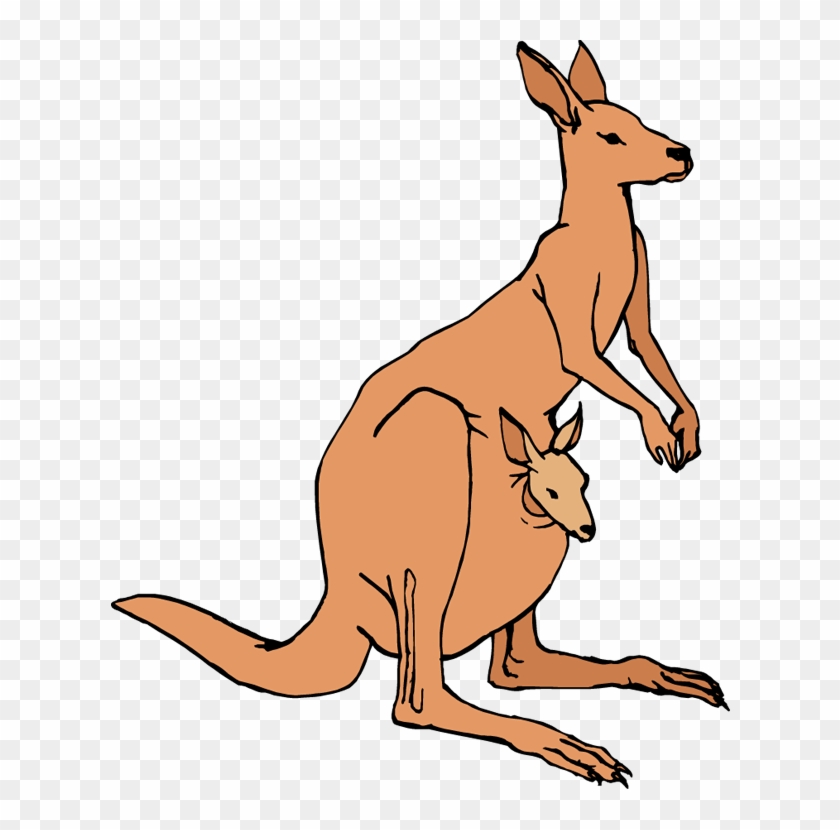 Kangaroo Clipart Black And White - Clip Art Free Kangaroo Png #286543