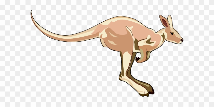 Jumping Kangaroo Clipart - Kangaroo Clip Art #286557