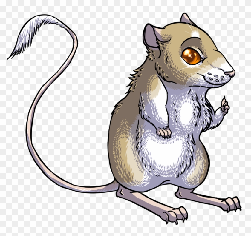 Arizona Kangaroo Rat - Kangaroo Rat Png #286562