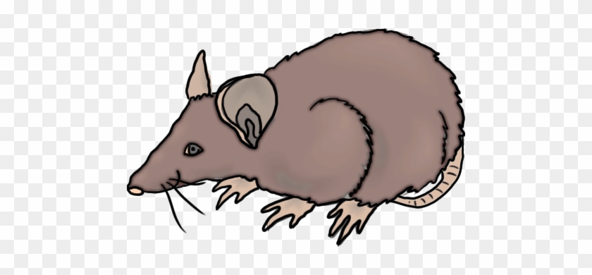 Rat Clip Art Image Tips - Free Clip Art Rat #286595