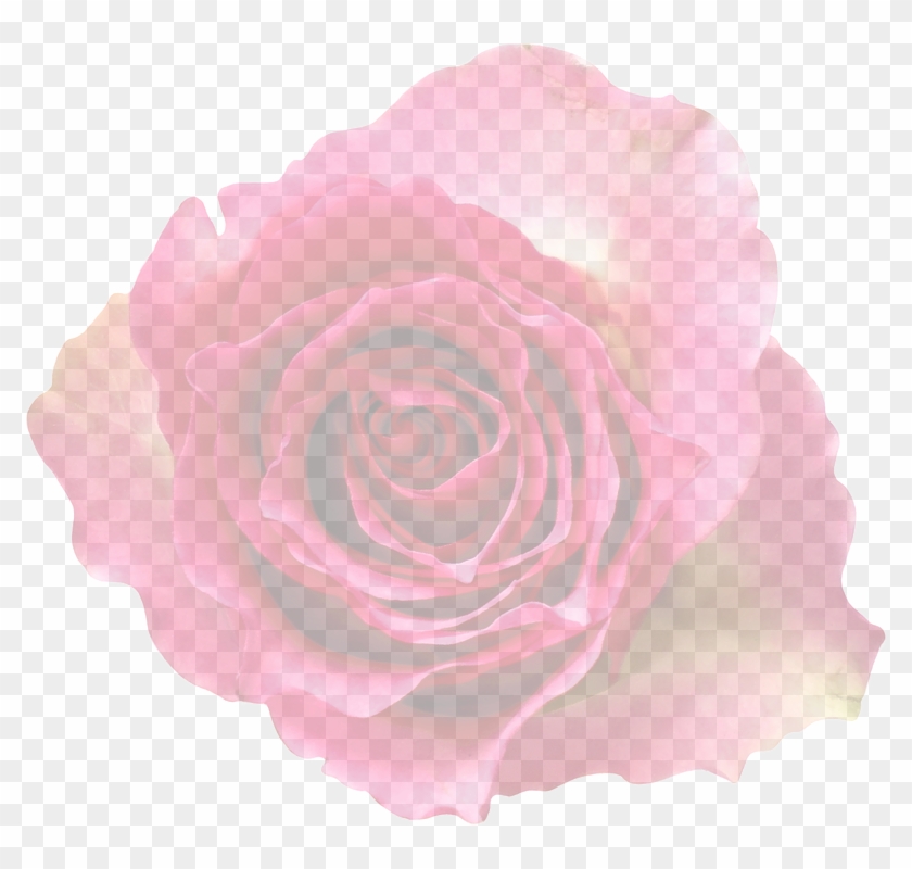 Pink Rose Flower Free Png Transparent Images Free - Rosa Transparente Png #286751