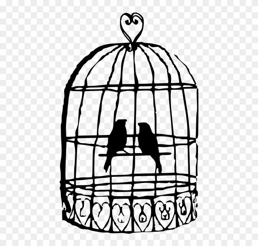 Free Image On Pixabay - Birds In A Cage Drawing #286836