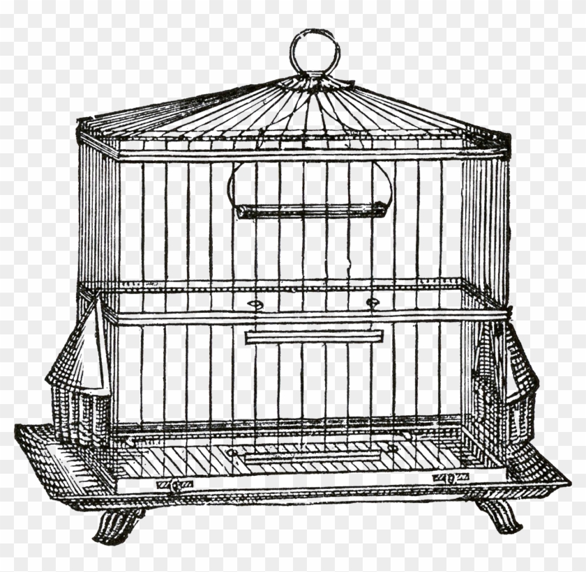 Birdcage Clipart Transparent - Transparent Background Cage Clipart #286857