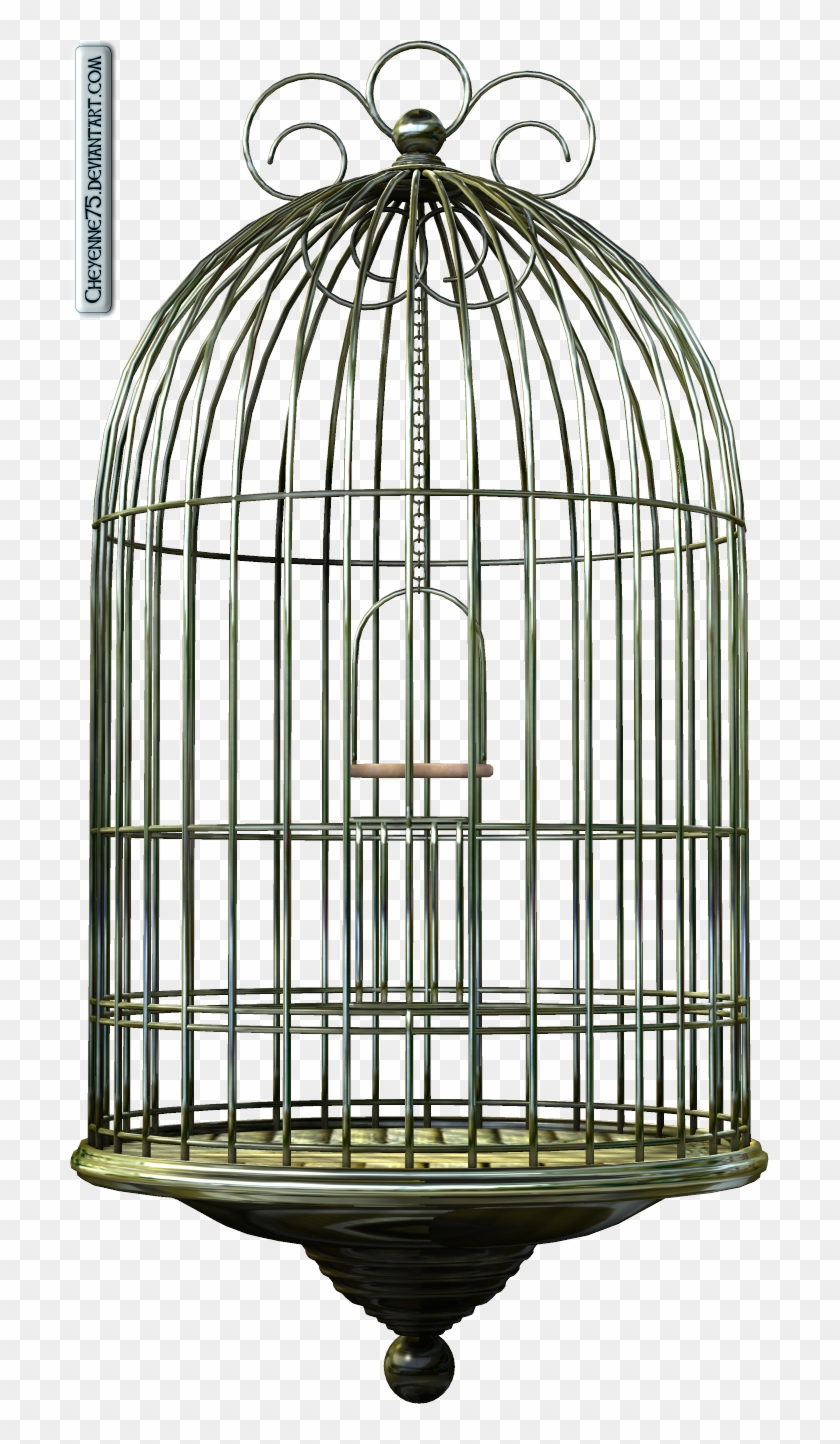 Bird Cage By *cheyenne75 On Deviantart - Cage #286900