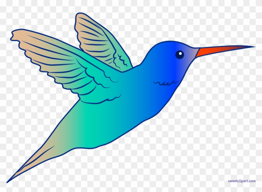 Cute Hummingbird Illustration - Flying Bird Clip Art #286910