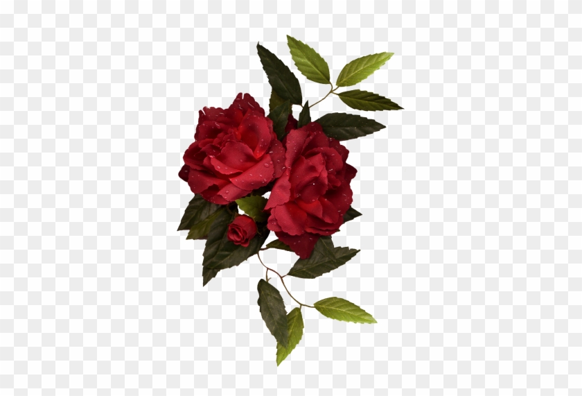 Dbv Rose Rose - Painting #286942