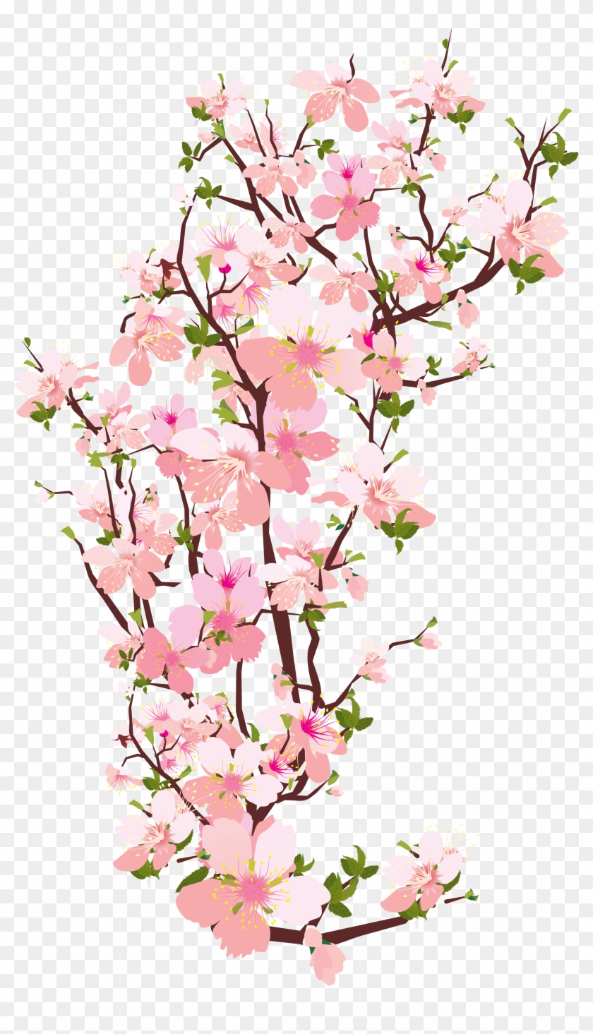 Blossom Clipart Japanese Cherry Blossom - Cherry Blossom Clipart Transparent #286968