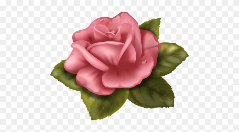 Rose Drawingswafer Papertrue Colorscredit - Perfect Rose Cross Stitch Pattern #286954