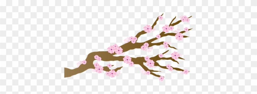 Cherry Blossom Blossoms Japanese Branch Ch - Cartoon Cherry Blossom Transparent #286969