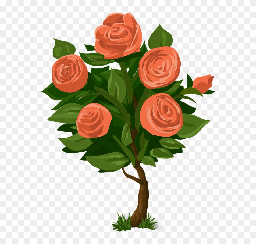 Rose Clipart Rose Tree - Rose Bush Clip Art #286974