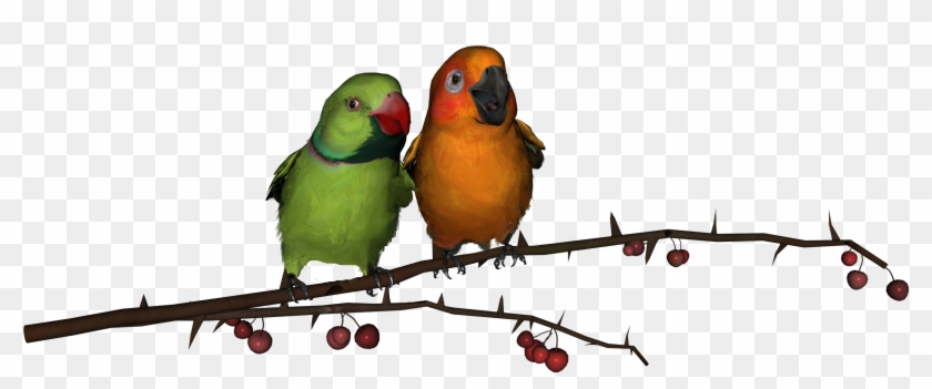 Love Birds Download Png - Png Love Birds Hd #287049